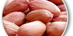 Peanut Kernels