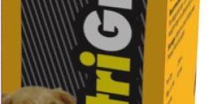 Nutrigroom Coat Conditioner