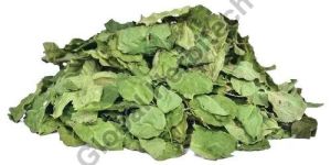 Green Dry Moringa Leaves