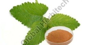 Lemon Balm Extract