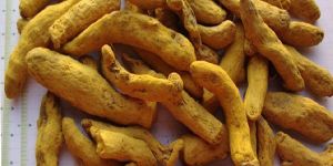 Turmeric