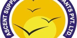 Industrial Consultant Services