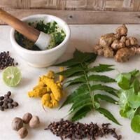 Ayurveda Products