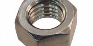 SS Hex Nut