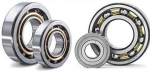 SKF Bearings