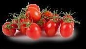 Cherry Tomato