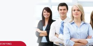 Placement Agencies, Placement Consultants