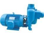 Sewage Pumps
