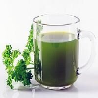 Herbal Blood Purifier