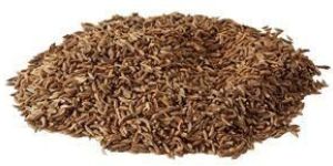 Cumin Seeds