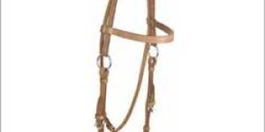 Horse Headstall