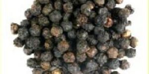 Black Pepper