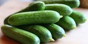 Cucumber