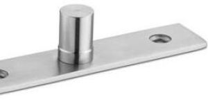 SS Pivot Hinges