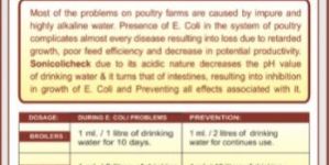 SONICOLICHECK Poultry Feed Supplement