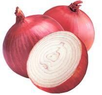 Onion
