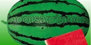 Watermelon F1 Hybrid Seeds