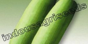 Bottle Gourd Hybrid Seeds