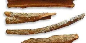 Cinchona Bark