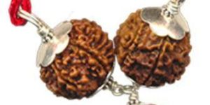 Career Growth Rudraksha