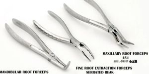 Stainless Steel Root Extraction Forceps