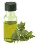 Mentha Piperita Oil