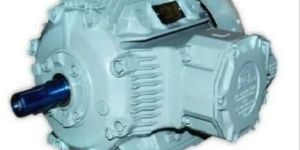 Electric Motor