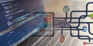 Web Development Services