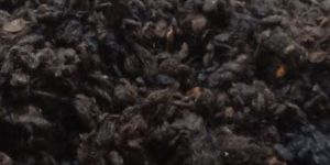 Ladies Hair Waste Mixed