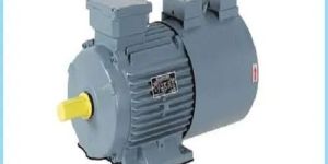 Havells Three Phase Electric Motor