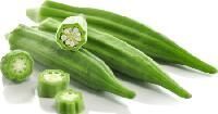 Lady Finger Seeds