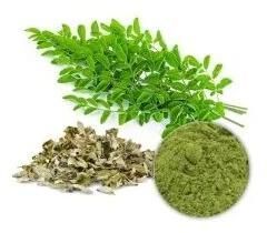 Moringa Leaf Extract