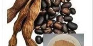 Mucuna Pruriens Extract