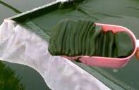 Spirulina Wet Mass, Dried Noodles, Fine Powder