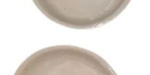 Laboratory Porcelain Basin