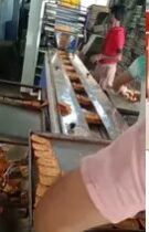 Toast Packing Machine