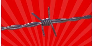 Barbed Wire