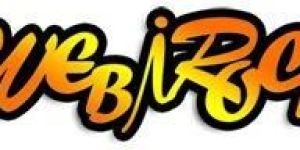 Web Designing Service