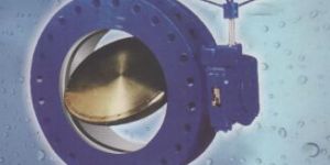 Butterfly Valve