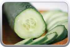 Cucumber