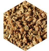 Celery Seed