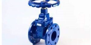 Cast Iron Gate Valve