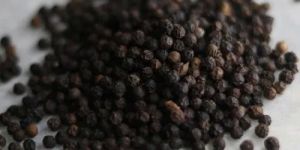 Organic Black Pepper Seed