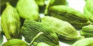 Organic Green Cardamom