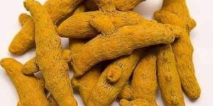 Organic Turmeric Finger