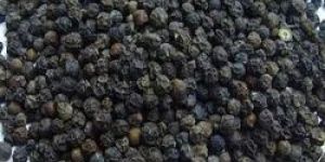 Whole Black Pepper Seed