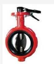 Butterfly Valve Casting