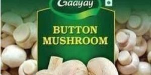 Button Mushroom