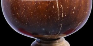 Coconut Shell Bowl