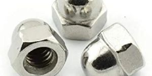 Stainless Steel Dome Nuts